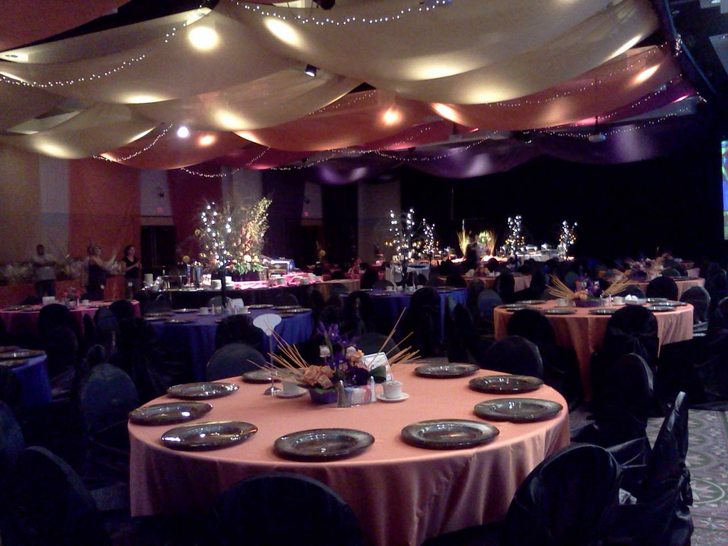 Flat style ceiling draping featuring white, pink, purple chiffon panels with twinkle lights.
