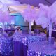 Graduation Party: Purple & Silver – Mystic Lake